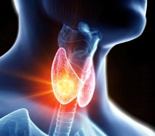 آزمایشگاه سما