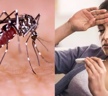 آزمایش تب دنگی 6 آزمایش تب دنگی در آزمایشگاه سما